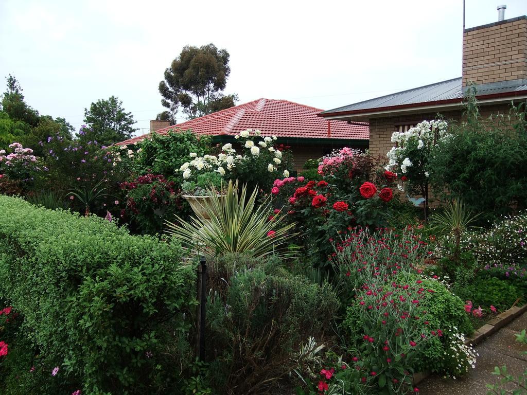 Admurraya House Bed & Breakfast Rutherglen Kültér fotó