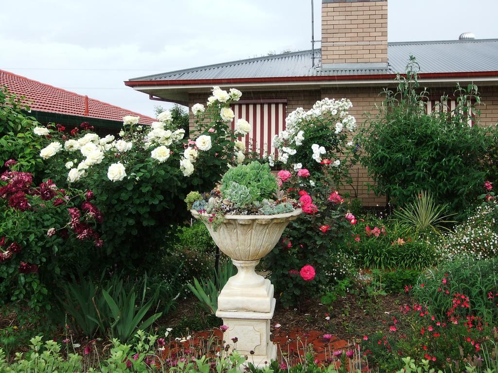 Admurraya House Bed & Breakfast Rutherglen Kültér fotó